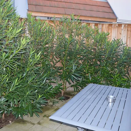 Prázdninový dům Juste Un Rayon De Soleil Maison 6 Personnes Alsace Proche Europa-park